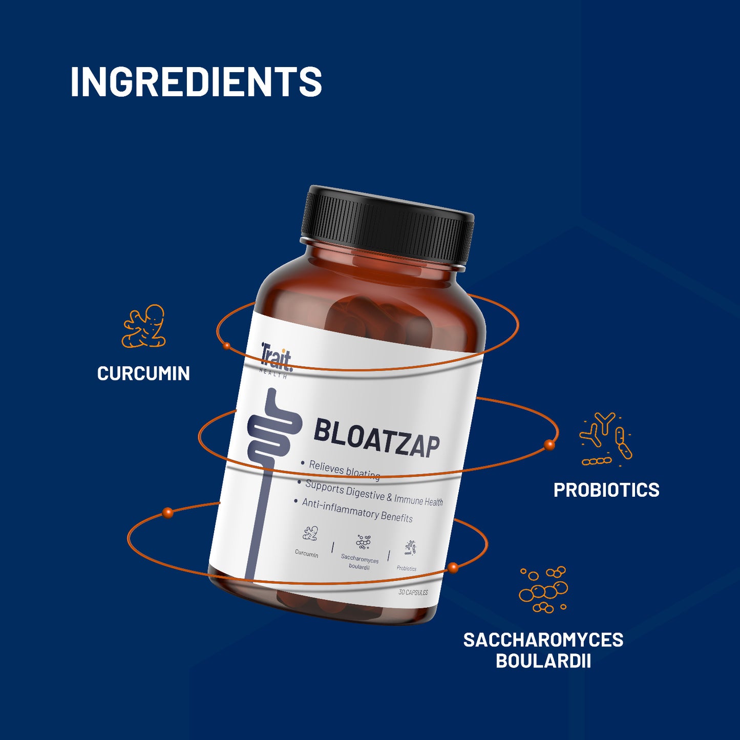 Bloatzap | Advanced Gut Health Supplement for Digestion (Copy)