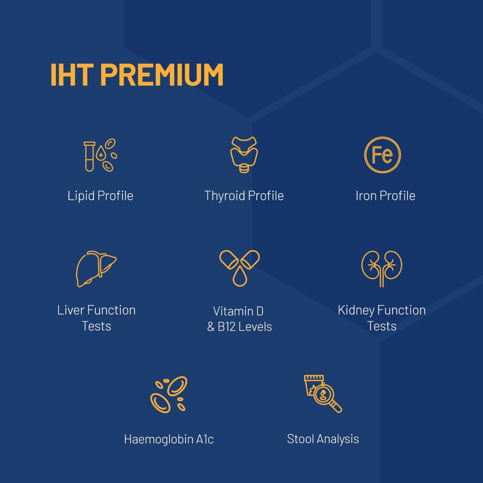 India's First Integrated Health Test - Know Your Body and Biome Score