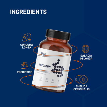 Noformin | Natural Blood Sugar Management